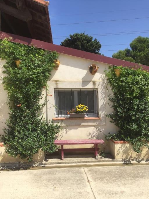 Insolite Au Coeur D'une Ecurie Appartement