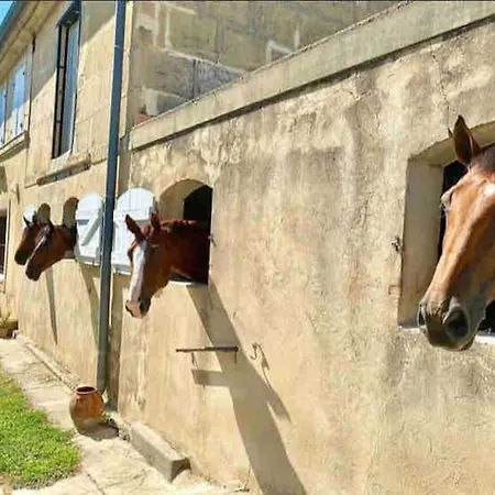 Logement Insolite Au Coeur D'Une Ecurie Arles Exterior foto