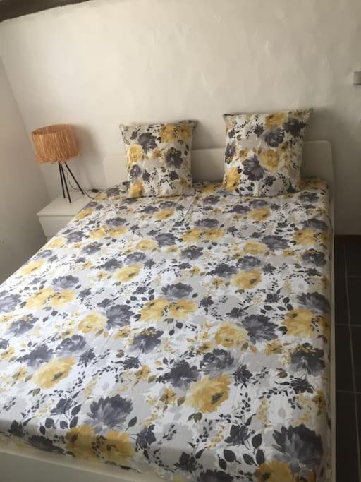 Insolite Au Coeur D'une Ecurie Arles
